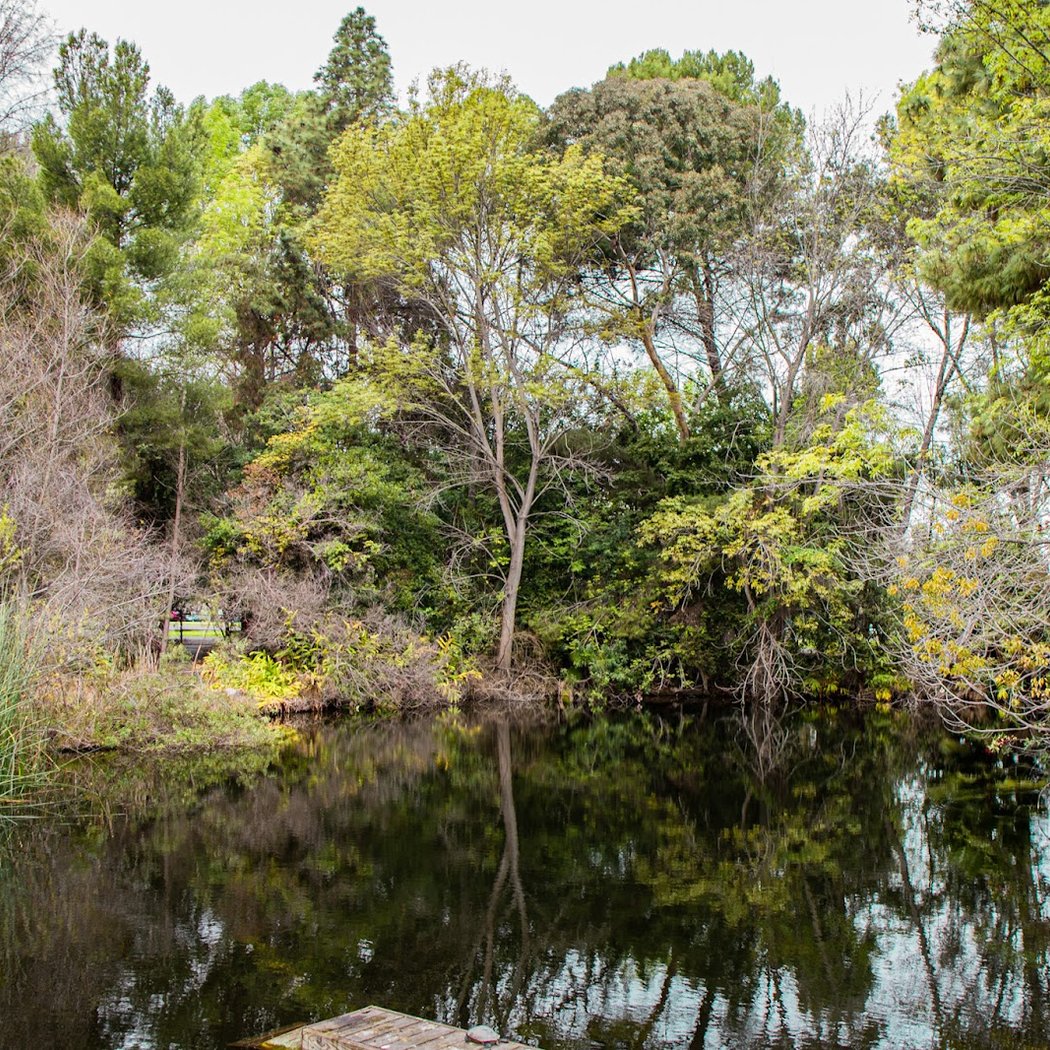 Guided Forest Bathing 1